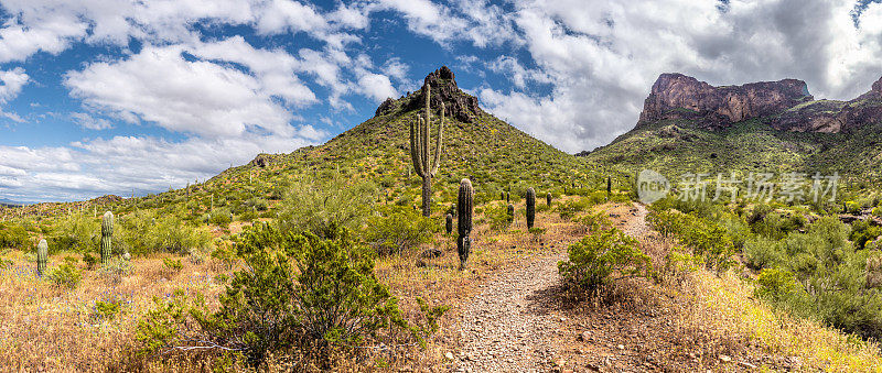 Picacho Peak州立公园